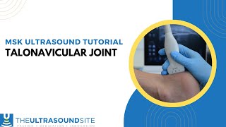 Ultrasound tutorial of the talonavicular joint [upl. by Liebman]