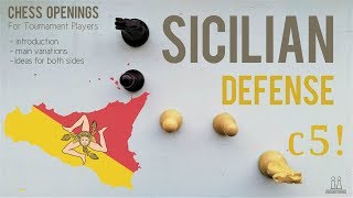 Sicilian Defense introduction ideas amp variations ⎸Chess Openings [upl. by Nnylcaj]