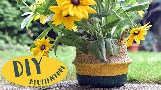 DIY  Blumentopf mal anders [upl. by Anelegna]