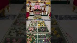 Beautiful Entrance and Walima Stage Decorations youtubeshorts ytshorts viralvideo wedingdecor [upl. by Enyleuqcaj]