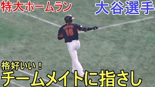 祝！WBC第１号スリーランホームラン～第１打席目～【大谷翔平選手】〜オーストラリア戦〜 Shohei Ohtani WBC 2023 vs Australia [upl. by Crissie583]