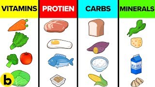 How The Six Basic Nutrients Affect Your Body [upl. by Kenwrick]