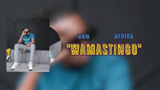 Don Afrika  WAMASTINGO [upl. by Hgielah859]