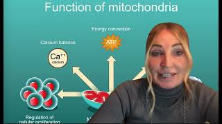 Projekt quotBRAIWORXquot  Epigenetik Coaching mit Carolin Herberg Mitochondrien [upl. by Nieberg]