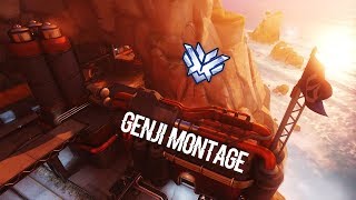 RESISTANCE  Top 500 Genji Montage 2 Overwatch [upl. by Merri]