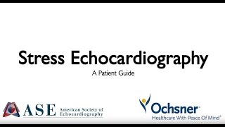 Stress Echocardiography A Patient Guide [upl. by Apfelstadt]