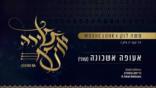 משה לוק  אעופה אשכונה קצבי  Moshe Louk  Aufa Eshkona Groovy [upl. by Odnalor]