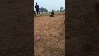 Vikash Rao2 bihar Mohania videos 2024 [upl. by Julee]