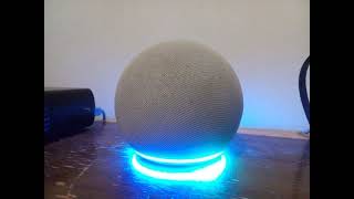 Echo Dot 4th Generation Factory Reset October 14 2024 [upl. by Sneve]