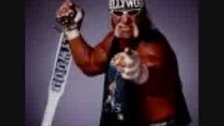 Hollywood Hulk Hogan wcw theme [upl. by Doubler625]