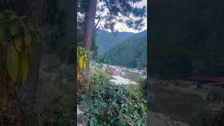 neemkaroribaba wildlifebajrangbali nainitaluttarakhand subscribemychannel viralvideoshorts [upl. by Bocoj]