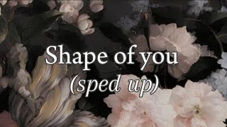 Ed Sheeran  shape of you sped up  peaceful vibe✨🫀 [upl. by Nuahsor]