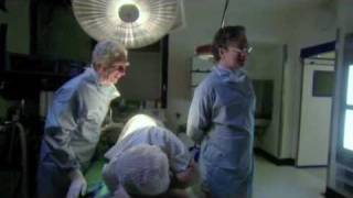 Harry amp Paul Doctors  Scene 2 [upl. by Ralyat655]