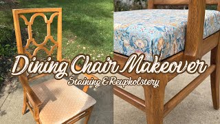 Dining Chair Refresh  Staining amp Reupholstering a FBMP Find [upl. by Boru]