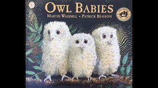 Owl Babies Childrens Storytime  Read aloud [upl. by Ohara]