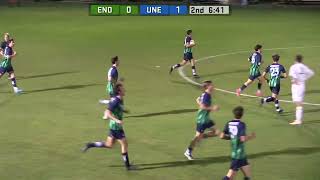 Endicott Mens Soccer Highlights vs UNE 102924 Fisher Mills x2 [upl. by Attenauq]