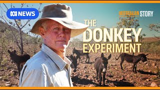 The maverick outback grazier using donkeys to regenerate his land  Australian Story [upl. by Nylekcaj]