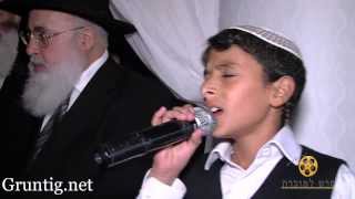 Uziya Tzadok Sings Kochav Meir Live At Chuppah [upl. by Darce]