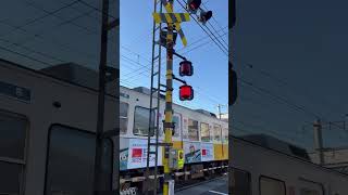 Kotoden Takamatsu  2 trains at railroad crossing in Japan [upl. by Stanislaw]