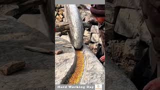 The Process Of Grinding Corn Kernels [upl. by Hplodur]