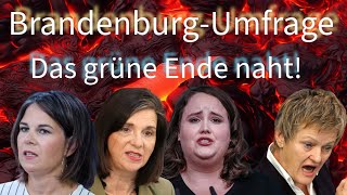 BrandenburgUmfrage Grüne vor der VOLLKATASTROPHE [upl. by Novihc184]