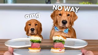 Dog Reviews Food With Little Brother  Tucker Taste Test 21 [upl. by Errol321]