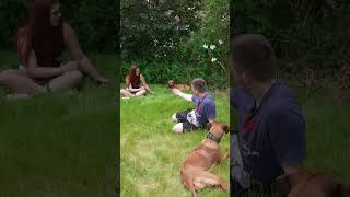 Kleiner Ridgeback besucht Abby [upl. by Nawtna930]