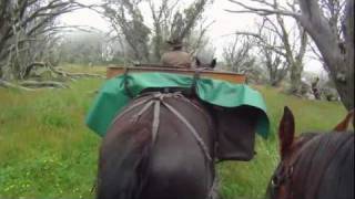 Bogong Horseback Adventures Mount Faintermov [upl. by Riamu755]