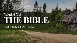 The Bible  Exodus Chapter 36 The Israelites Craftsmanship in Building the Tabernacle [upl. by Eelarbed]