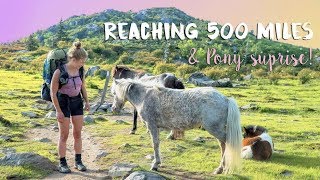 REACHING 500 MILES amp PONY SURPRISE 🦄 [upl. by Wernsman681]