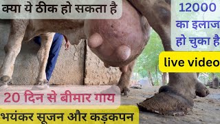 Fibrous and oedematous mastitis  थनेला [upl. by Atiuqan684]