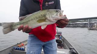 This week fishing lake Barkley Kentucky [upl. by Yager]