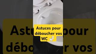 Comment déboucher les toilettes rapidement [upl. by Ykcir]