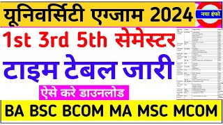 Ba Bsc Bcom Exam Time Table 2024 जारीBa 1st Semester Exam Date 2024Ba Bsc Bcom Time Table 2024 [upl. by Janetta474]