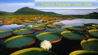 Trem do Pantanal Almir Sater Agenor Karaoke [upl. by Ahsyekat677]