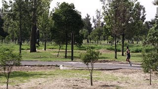 Bosque de Aragón – Soy Runner Chilango [upl. by Cinnamon]