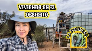 131LES MUESTRO EL HUERTO🔥PINTANDO TANQUE Y CONTENEDORES 🌵huerto vlog desierto [upl. by Clarine]