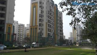 NRI City GH 01  NRI City  Greater Noida  S13072 [upl. by Lacey]