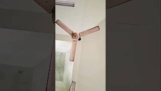 Ceiling fan ceilingfan shorts [upl. by Ahsytal82]