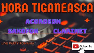 Hora tiganesca la acordeon  saxofon si clarinet [upl. by Nnor]