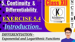 Class 12 Maths Exercise 54 Introduction  differentiation [upl. by Klos]