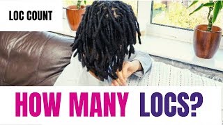 LOC COUNT HOW MANY LOCS DO I HAVE KIESHA ARIELLE [upl. by Gar]