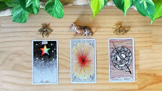 🤯 MIND BLOWING 🤯 MESSAGE YOU ARE MEANT TO HEAR 🤯 tarot card reading✨timeless✨pick a card✨ [upl. by Colston813]