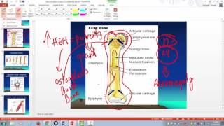 Human growth hormone and PTH and calcitonin [upl. by Ykcir]