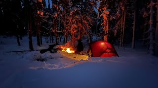 Backcountry Winter Camping in DEEP SNOW with my dogs [upl. by Kerin]