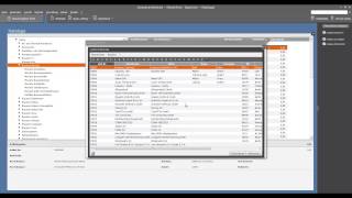 Tutorial Datanorm Kataloge importieren in der Lexware Warenwirtschaft 2013 [upl. by Eilrahc896]