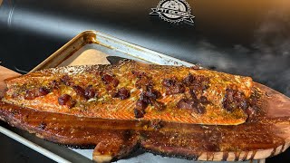 Cedar plank salmon on the pit boss🤯🔥 Grills Foodie foodcritic foodreview bbq pitboss samon [upl. by Dirk]