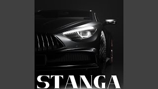 Stanga Remix [upl. by Wehtta730]