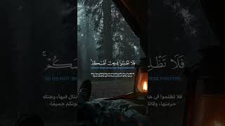 ☘️القرأن نبضي☘️🫁القارئ محمد اللحيدان🫁القرآنالكريمالفرقان سورةالتوبةتلاوة آياتتلاوةوتفسير [upl. by Eba]