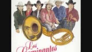 los caminantes con banda teresita0001wmv [upl. by Stouffer366]